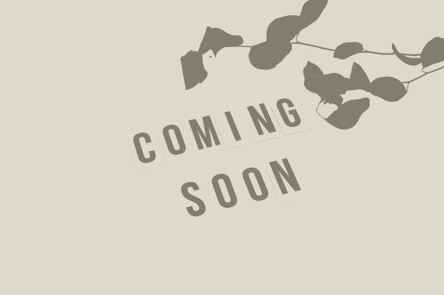 Cerulean Consulting